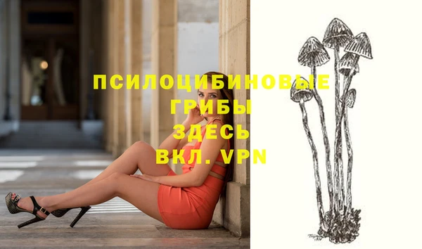 герыч Михайловск