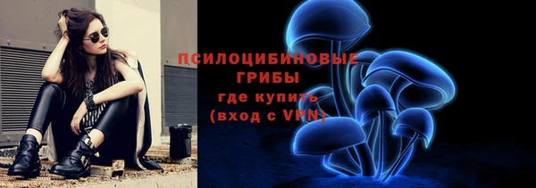 PSILOCYBIN Навашино