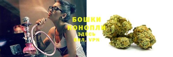 PSILOCYBIN Навашино