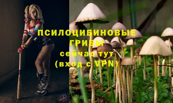 мескалин Надым