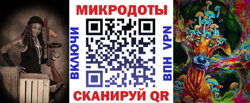 закладка Электросталь Псилоцибиновые грибы GOLDEN TEACHER